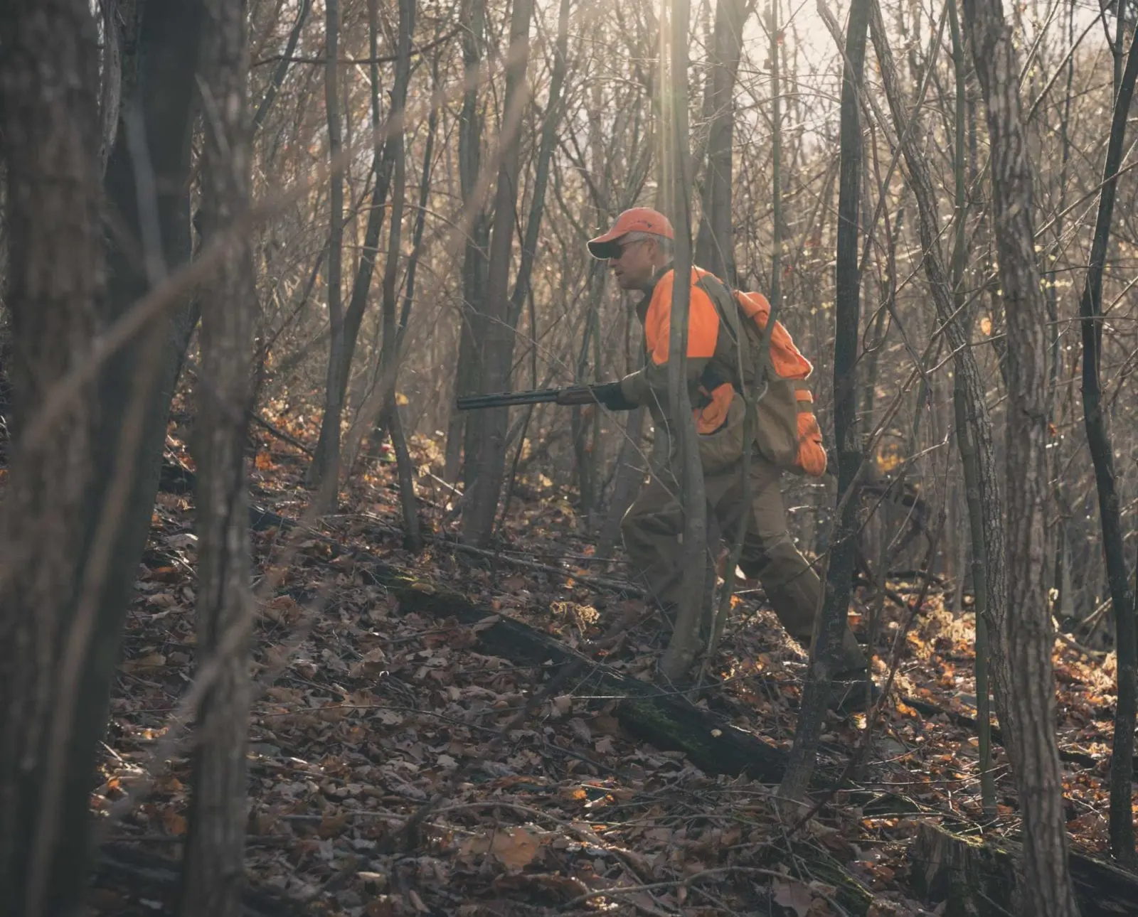 Pheasant Hunting in Virginia A Guide to the Best Hunting Spots and Regulations