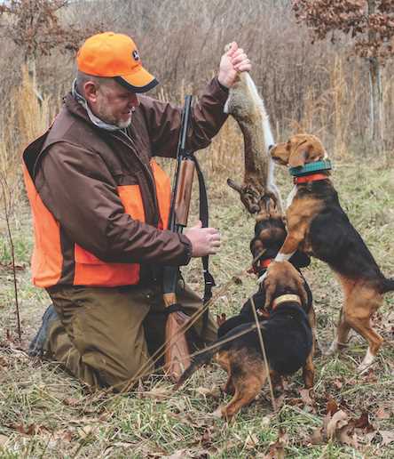 Mastering Hunting Techniques for Rabbit Hunts