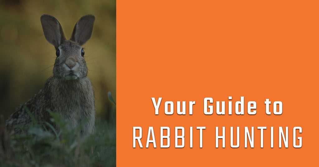 Identifying Rabbit Hideouts and Trails