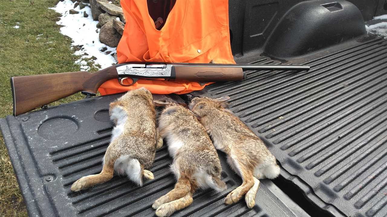 Regulations for Rabbit Hunting in Ohio