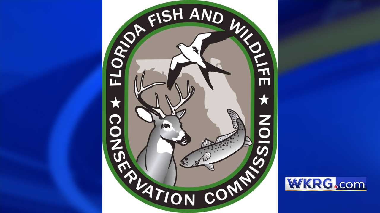 Small Game Hunting in Florida: Tips and Regulations -