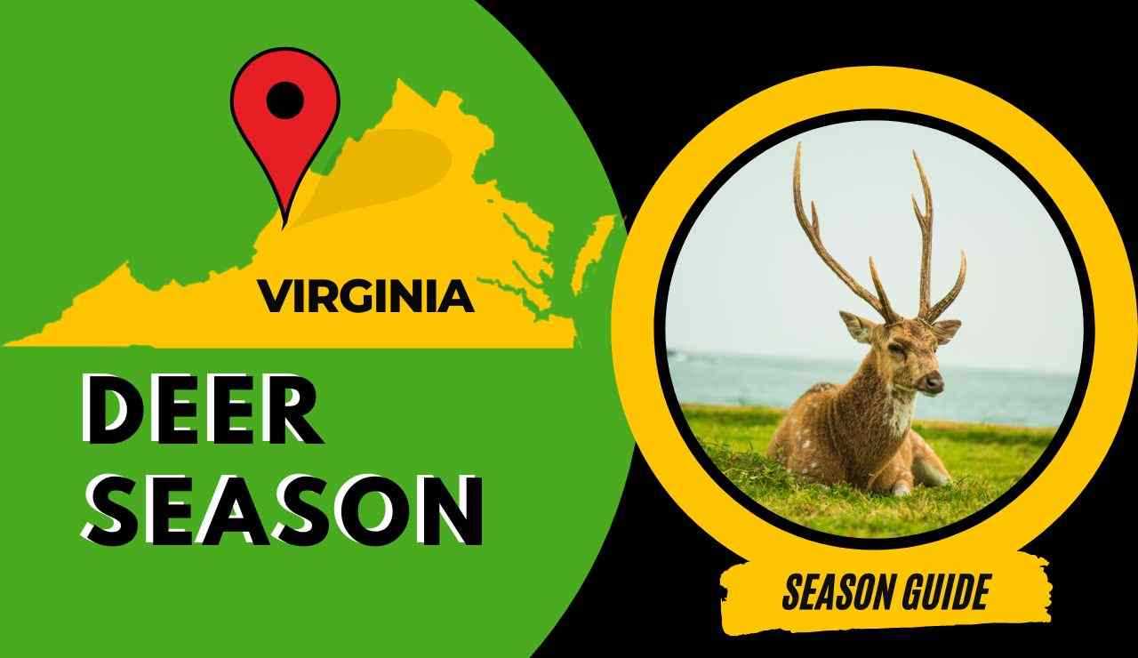 Virginia Black Powder Season Everything You Need to Know