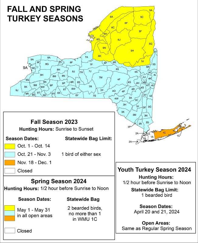 When Does Deer Season End in NY Find Out the Official Dates Here