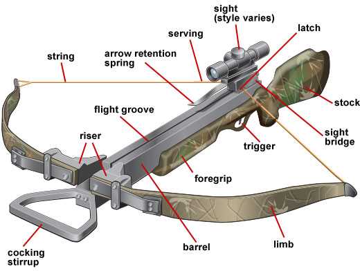 Understanding Crossbow Components