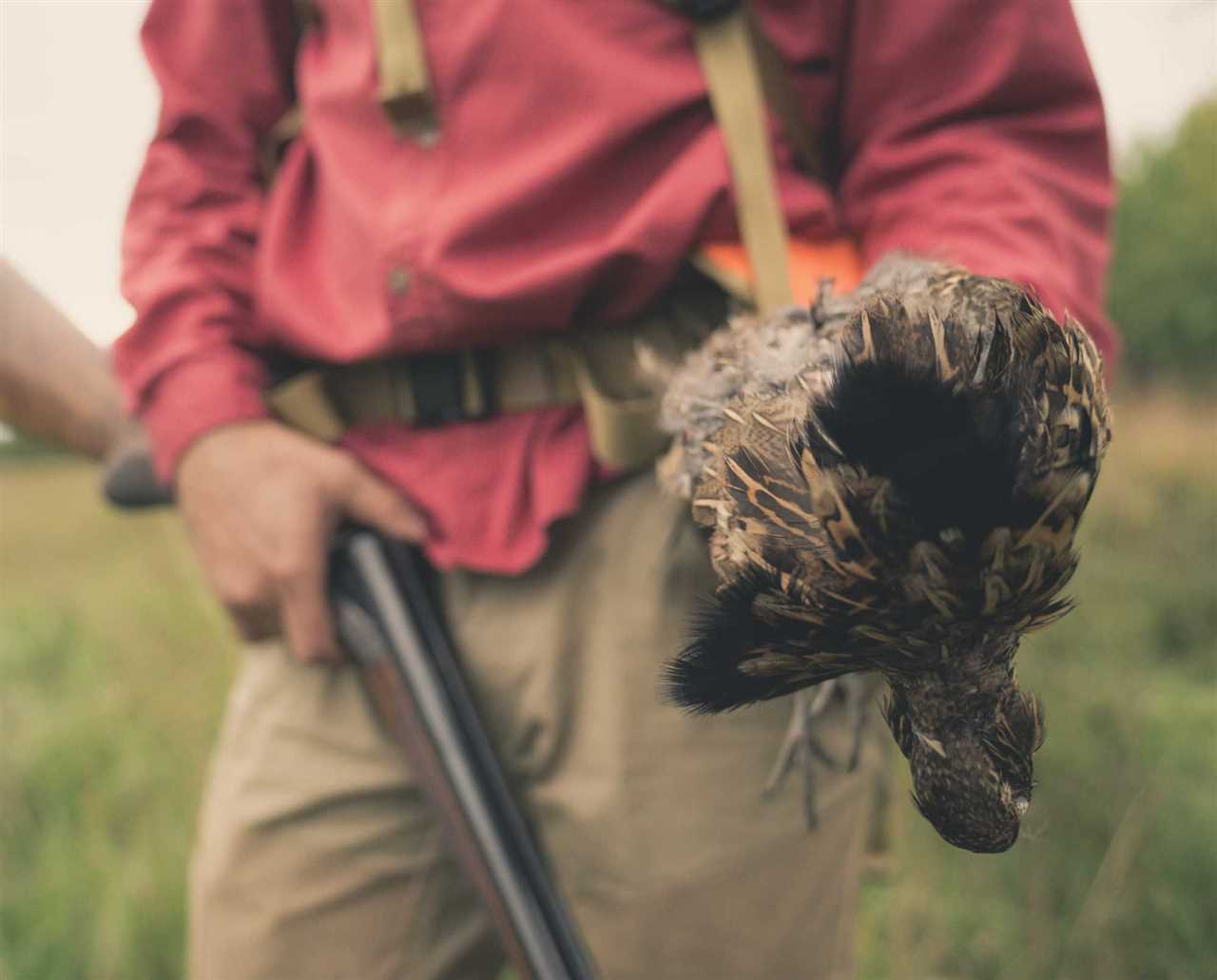 Hunting Hours and Safety Guidelines