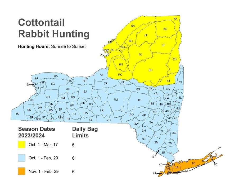 Hunting Small Game in New York State