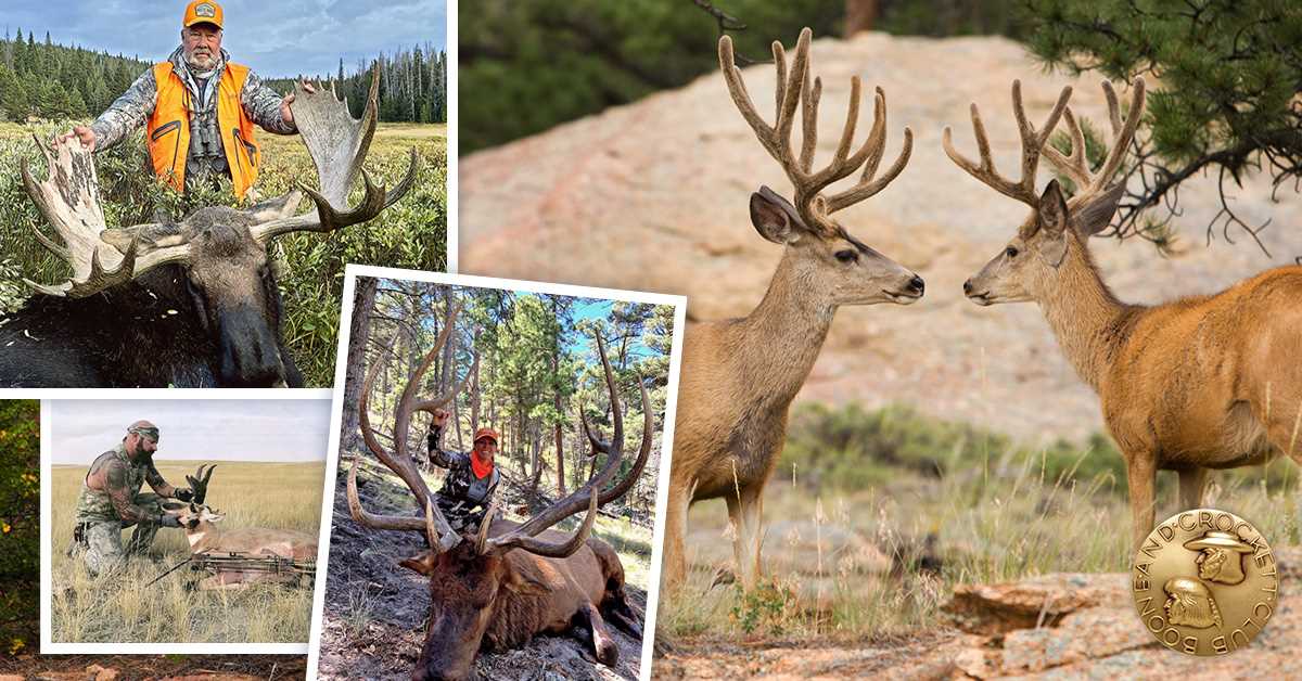 Everything you need to know about Colorado small game season | Colorado Hunting News