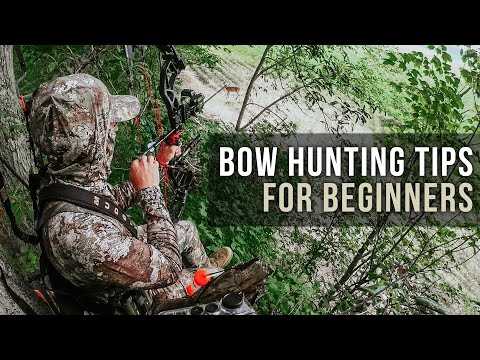 Beginner's Guide: How to Start Bowhunting - Expert Tips and Techniques