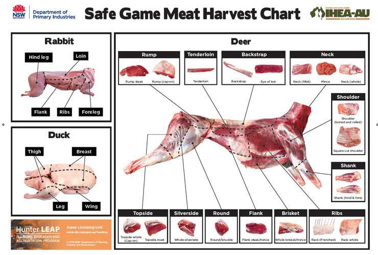 What is Game Meat?