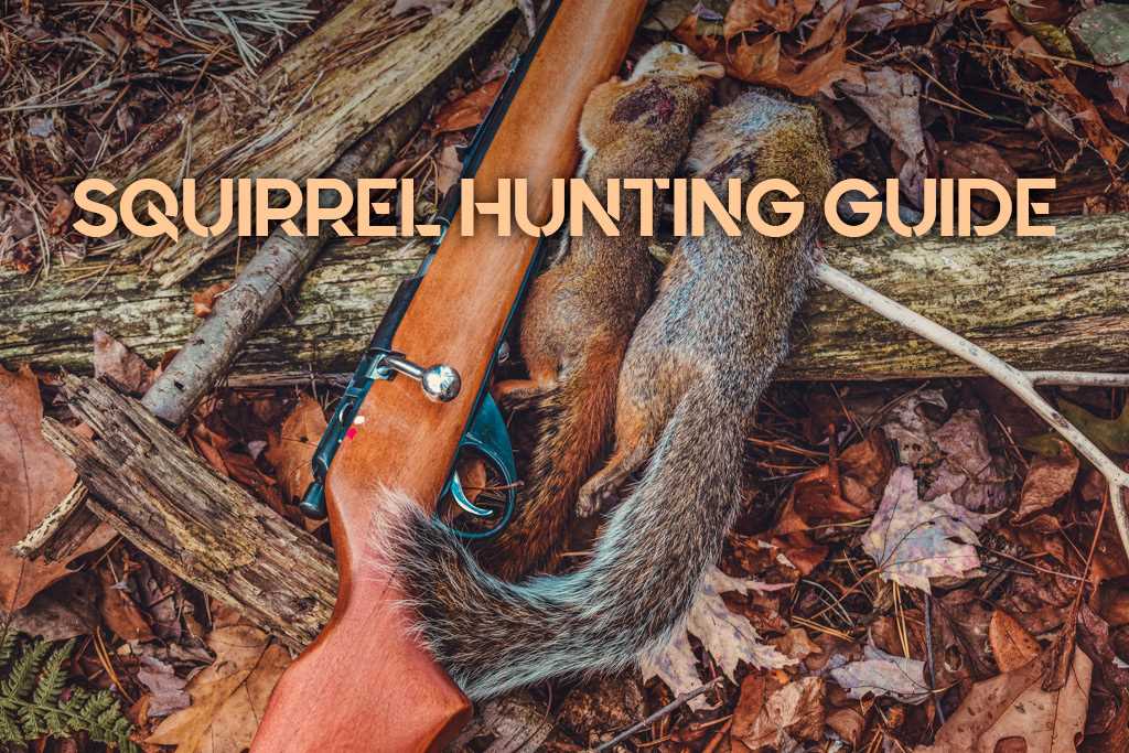 Planning Your Squirrel Hunting Trip in Colorado