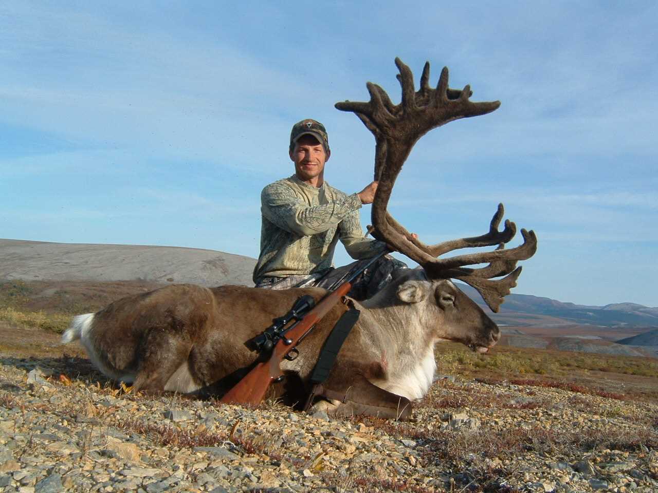 Top Animals to Hunt in Alaska - A Guide to the Best Hunting Spots in Alaska
