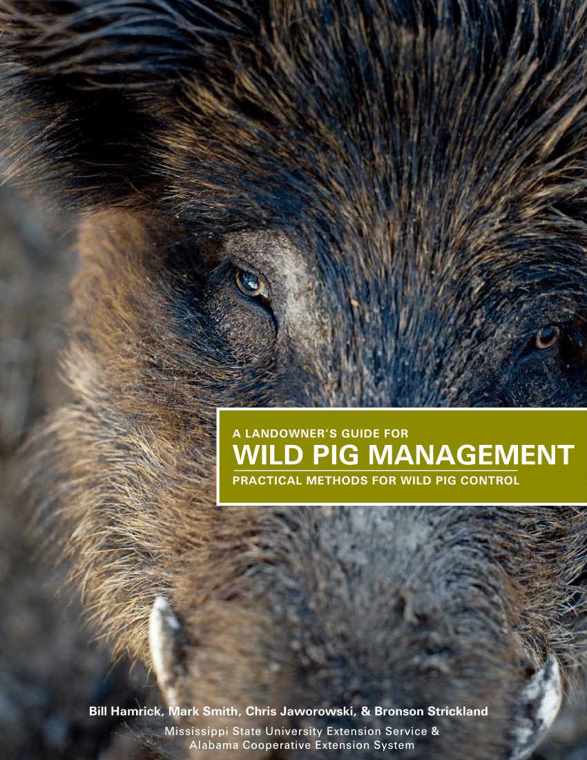 Management Strategies for Wild Pigs