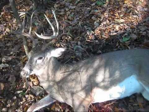 12-Year-Old Bowhunter Tags a Stud 12-Point Buck Outdoor Life