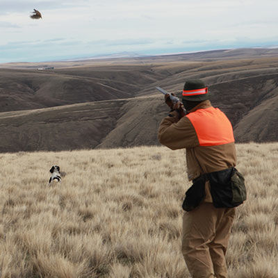 5 Best Public-Land Upland Hunts in the U S Outdoor Life