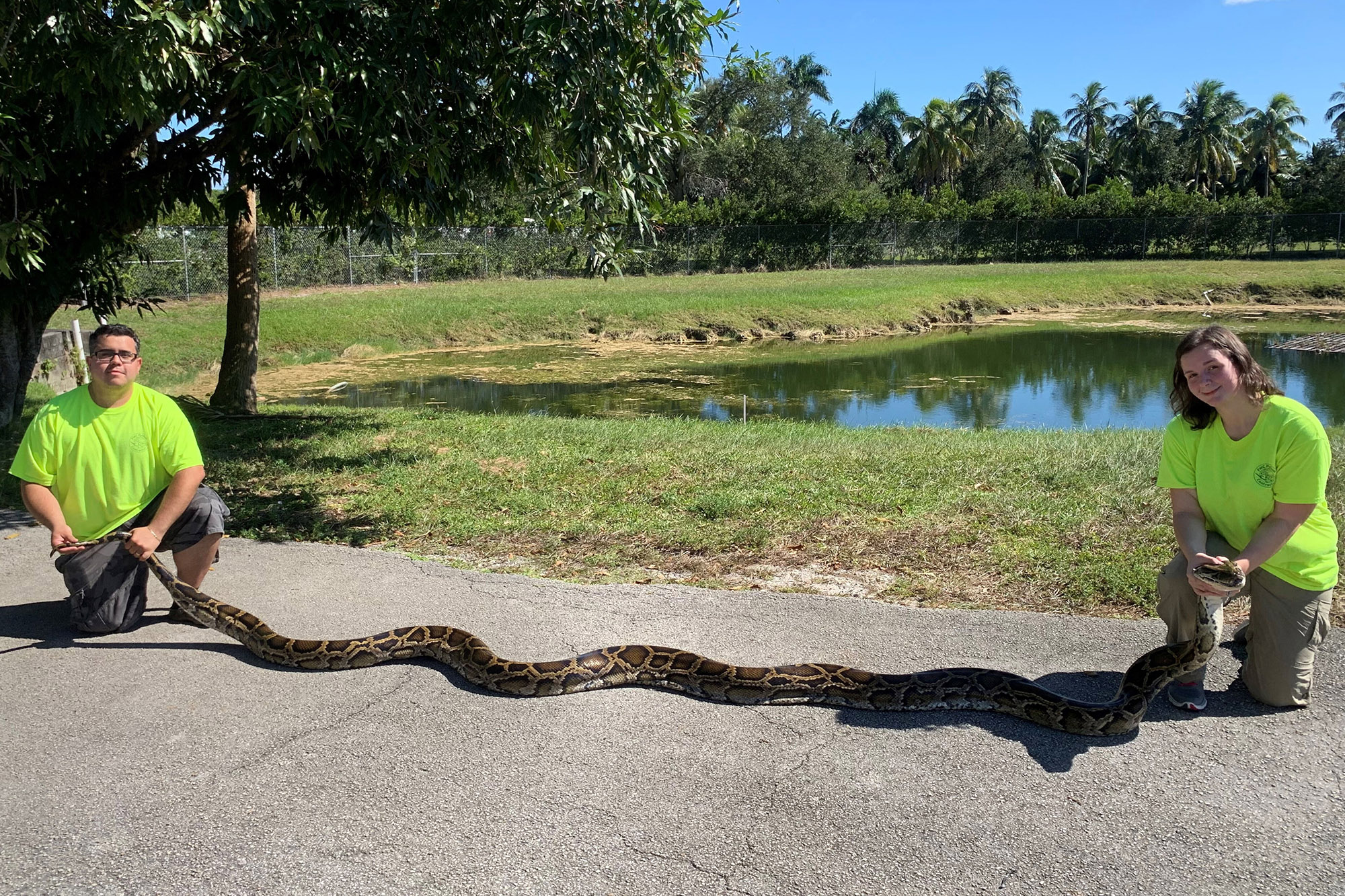A Record 185-Pound Python Was Just Captured in Florida Outdoor Life