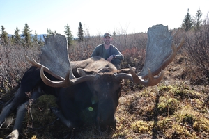 A Yukon Moose Expedition With a Naturally Gifted Guide Outdoor Life