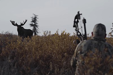 An Alaskan Moose Hunt Ends in Frustration Outdoor Life