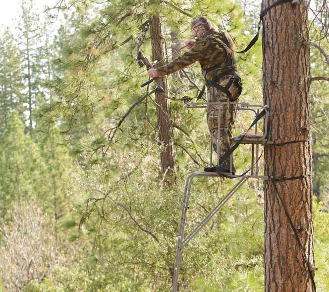 Best Places to Hang Tree Stands for Bowhunting Season Outdoor Life