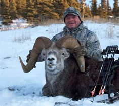 Best Shot I ll Ever Make Fred Bear s Record Stone Sheep Outdoor Life