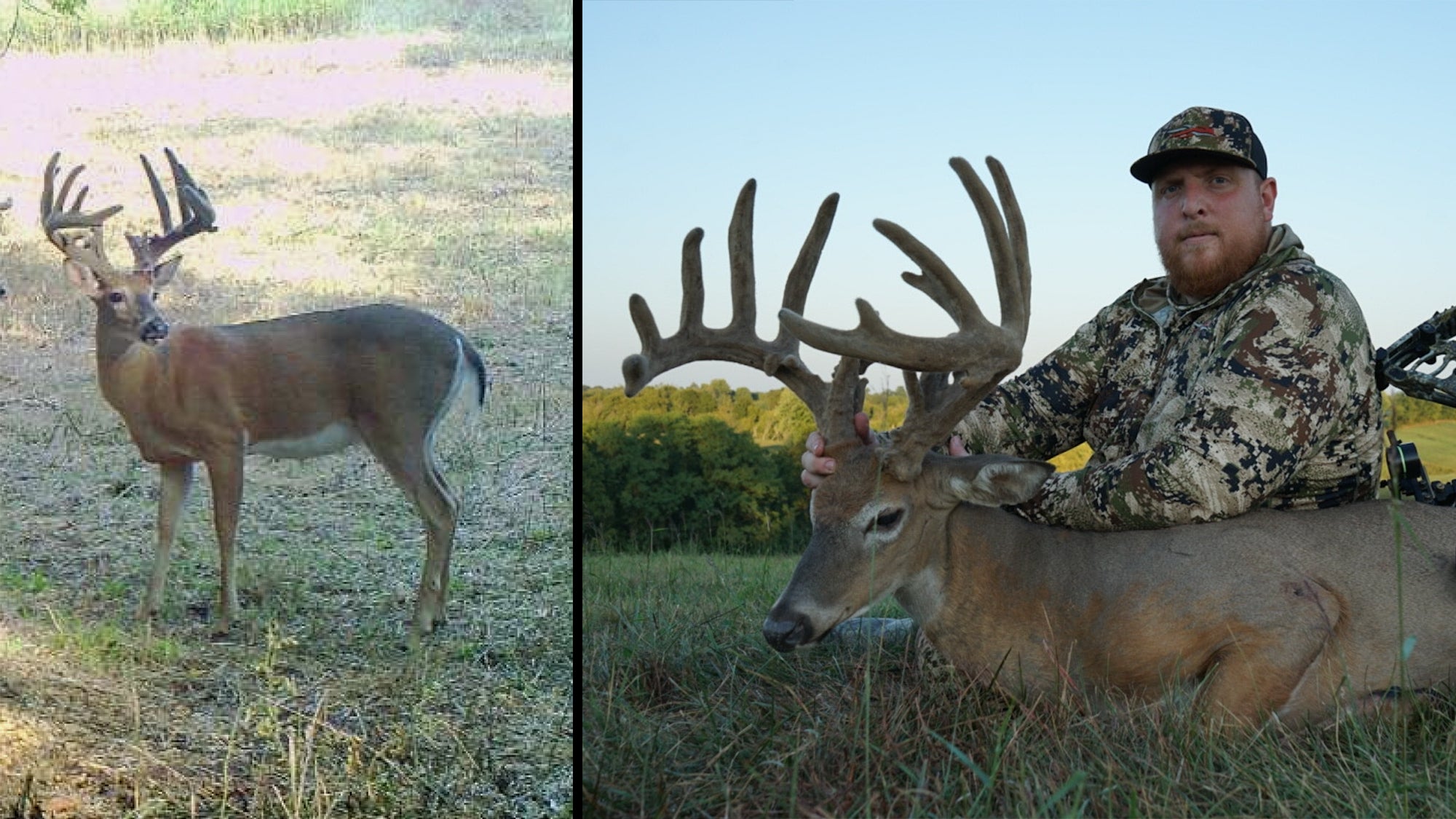 Bowhunter Tags Giant Velvet Blacktail After Hunting It for Three Years Outdoor Life