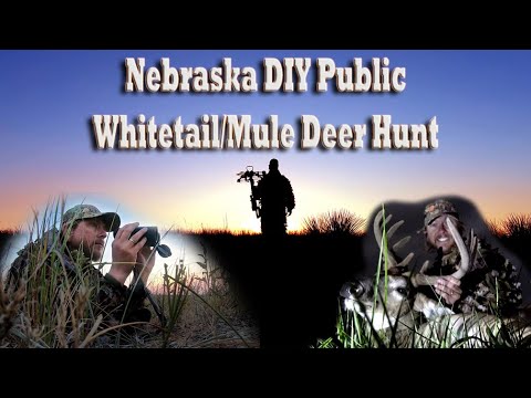 Can You Really Stalk Mature Whitetail Bucks With a Bow Outdoor Life