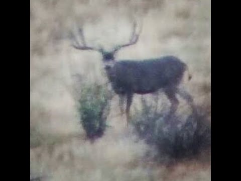Chase for Bullwinkle Buck Ends with 5 Days Left in the Season Outdoor Life