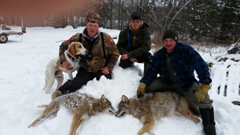 Coyote Hunting with Hounds and an Old-School Snowmobile Outdoor Life
