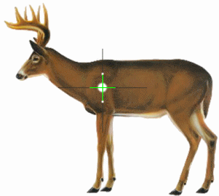 Don t Aim for a Deer s Head Outdoor Life