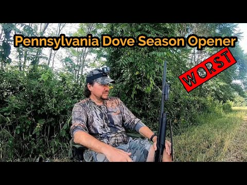 Dove Nation Photos from Three Dove Openers Across America Outdoor Life