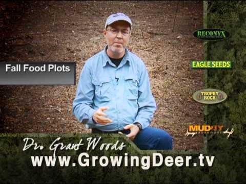 Dr Grant Woods on How to Use A I to Improve Your Deer Hunting Outdoor Life