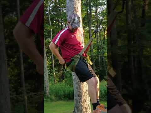 How to Hunt from a Tree Saddle Outdoor Life