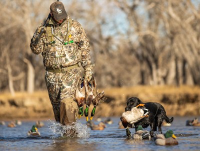 Is USFWS Underestimating Duck Hunter Numbers Outdoor Life